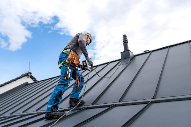 Best Roof Moss and Algae Removal  in Candlewick Lake, IL